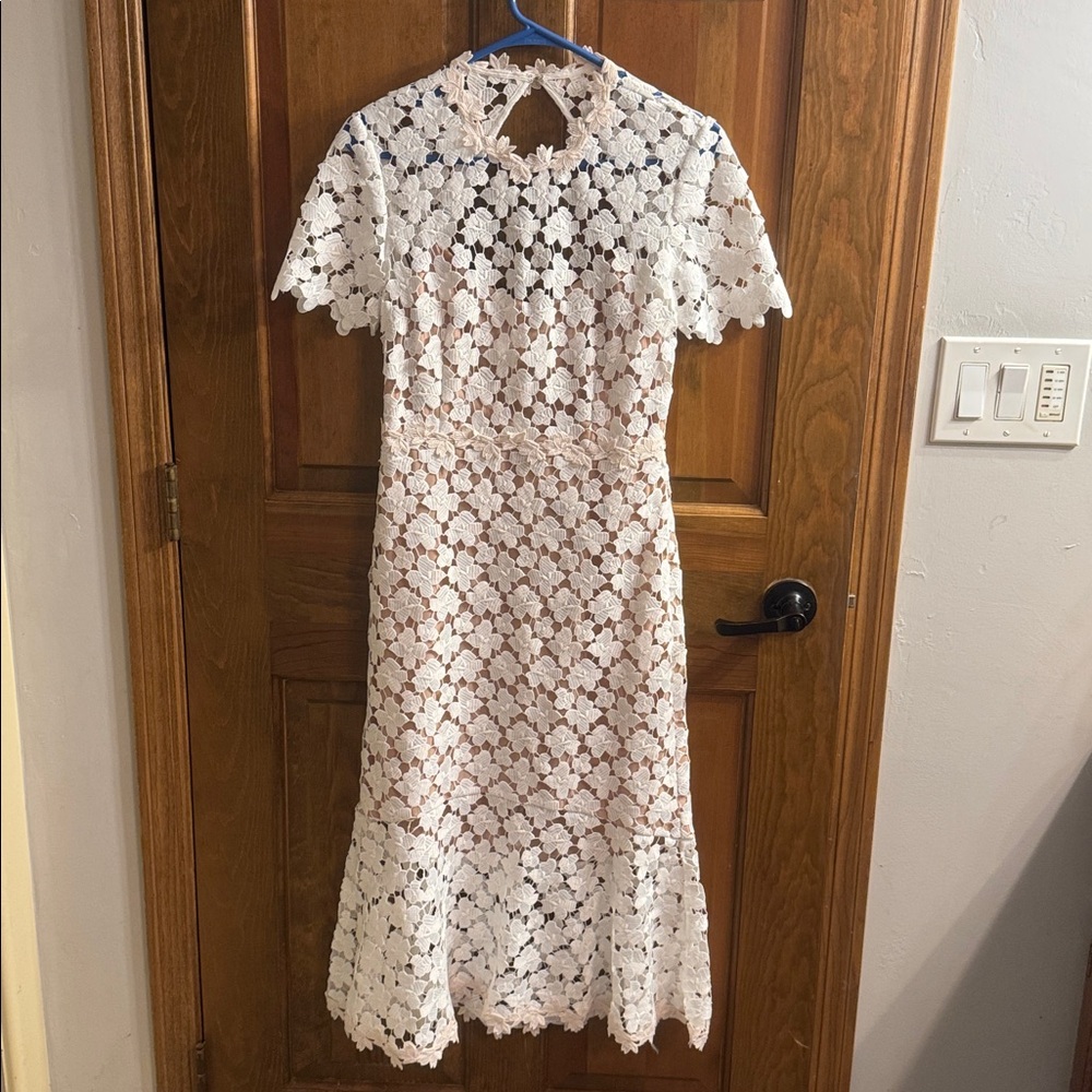 Stunning Lowry Dress By Jill Stuart Anthropologie BHLDN Collection Dress Size 6 - Picture 5 of 11